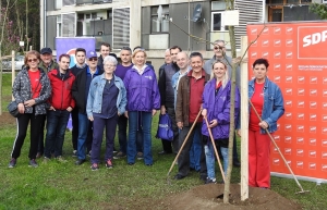 SDP i Reformisti zasadili drva u 2. mjesnom odboru