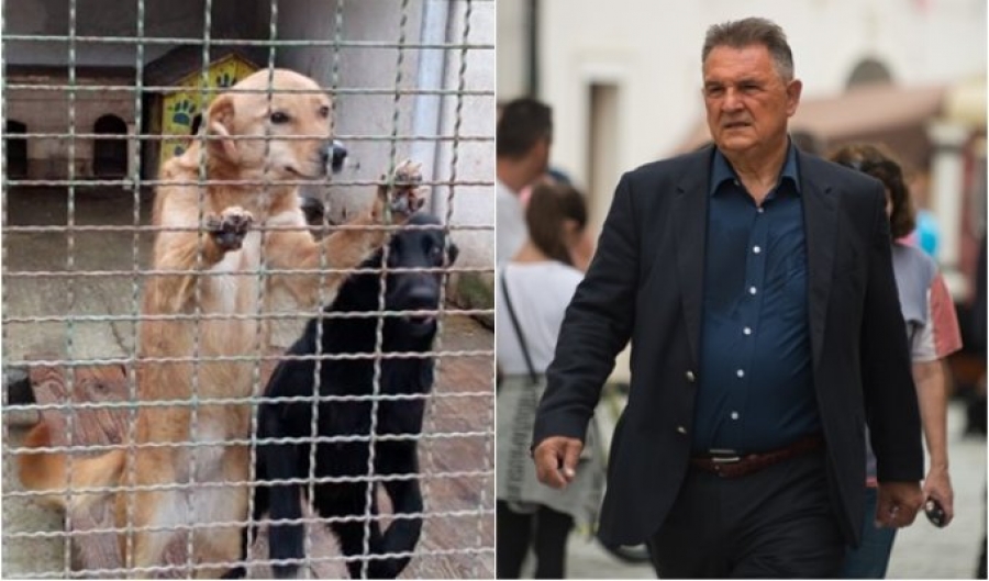 Županija Udruzi Spas darovala 5 tisuća kuna za interventno zbrinjavanje pasa