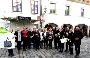 Reformisti u velikom broju podržali 11. Dan mimoza i Nacionalni dan borbe protiv raka vrata maternice